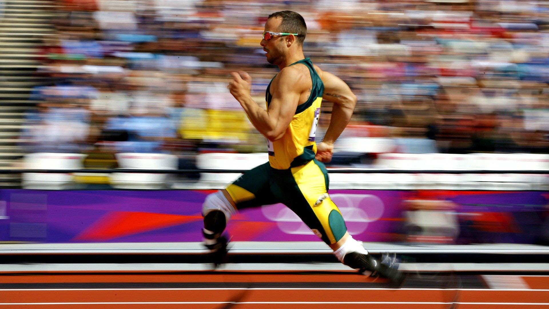 场馆升级:打造国际一流比赛环境,竞赛场馆运行分区有哪些