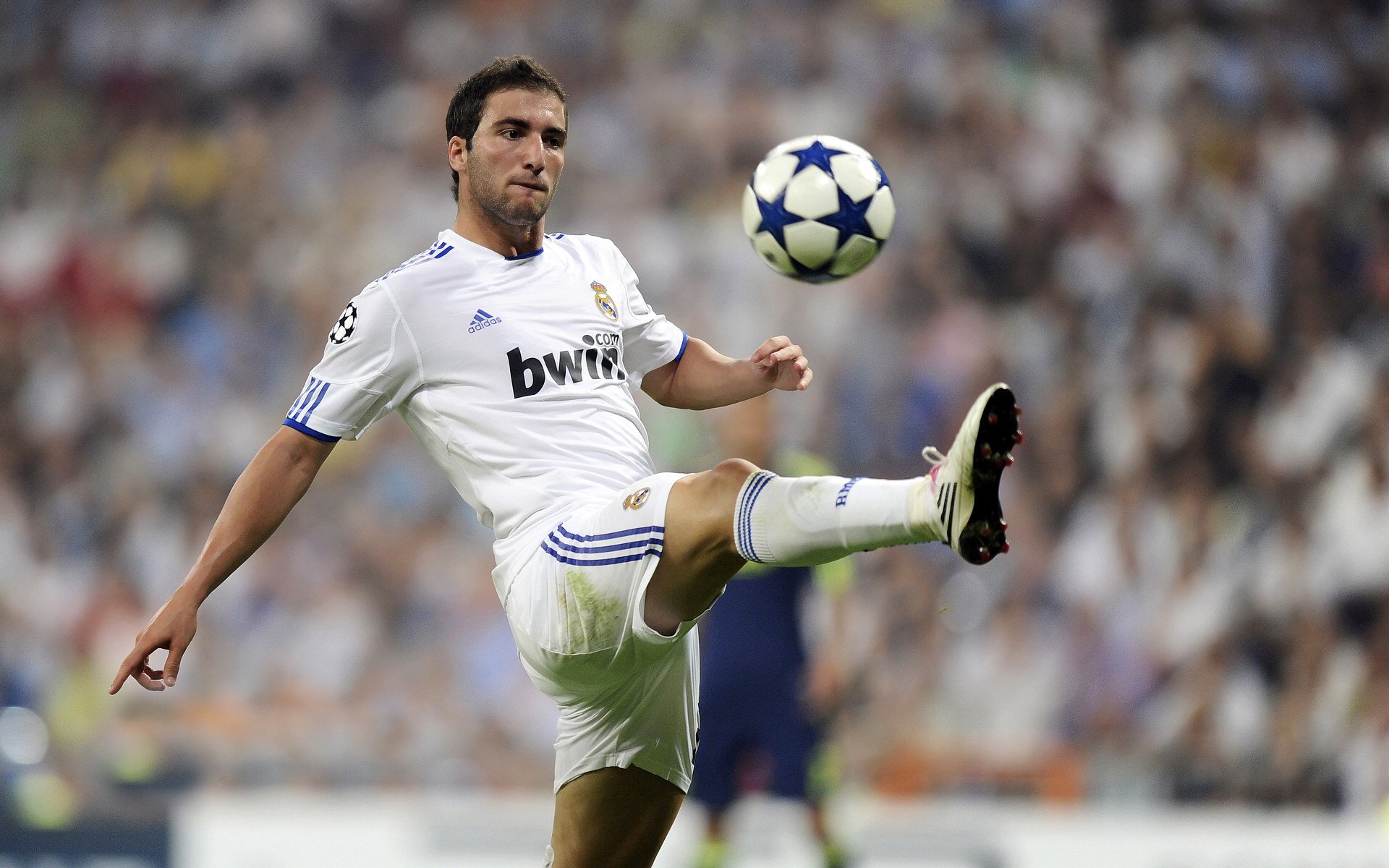 女王公园巡游者锋线活跃，QPR保级希望大，女王公园巡游者历史球星